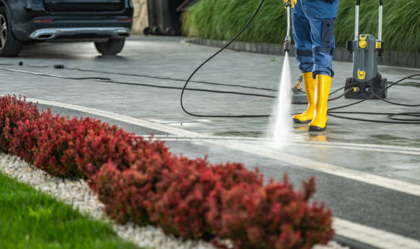 Best Pool Deck Cleaning  in Wink, TX